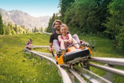 Sommerrodelbahn_Ammergauer_Alpen_GmbH_Matthias_Fend